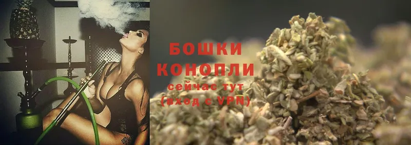 что такое наркотик  Пласт  Канабис OG Kush 